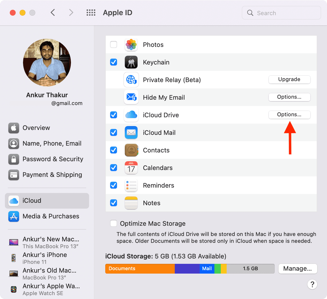 Opciones de iCloud Drive en Mac